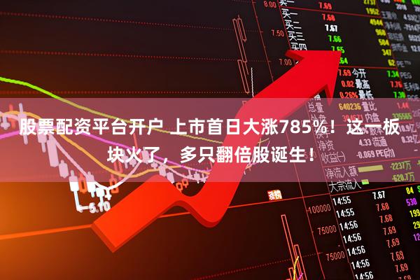 股票配资平台开户 上市首日大涨785%！这一板块火了，多只翻倍股诞生！