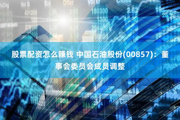 股票配资怎么赚钱 中国石油股份(00857)：董事会委员会成员调整